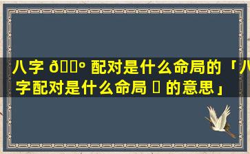 八字 🌺 配对是什么命局的「八字配对是什么命局 ☘ 的意思」
